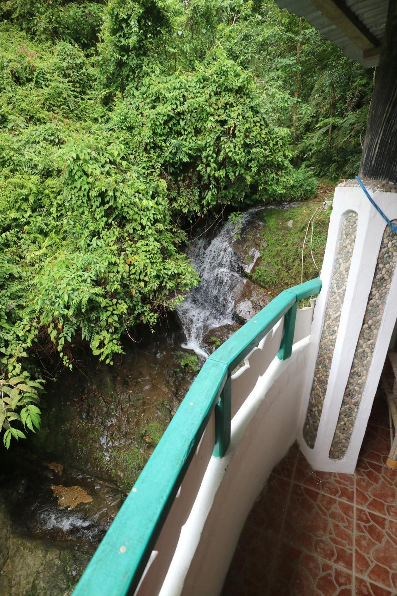 Jungle Hotel Bukit Lawang