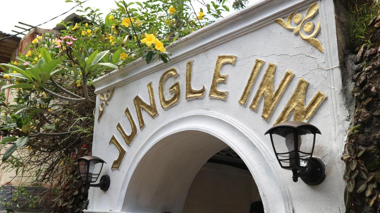 Hotel Jungle Bukit Lawang