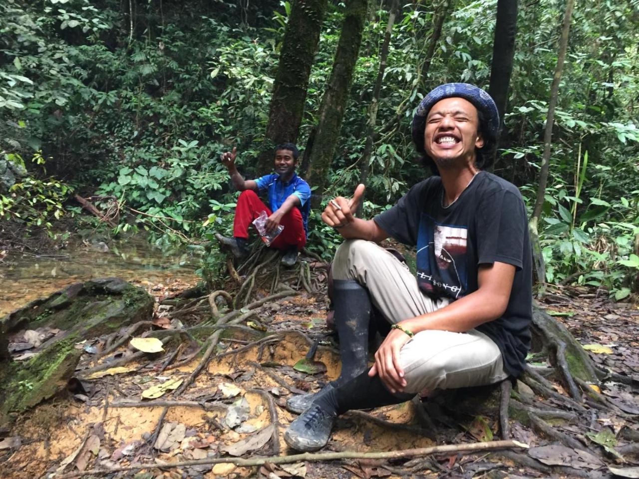 Jungle Bukit Lawang