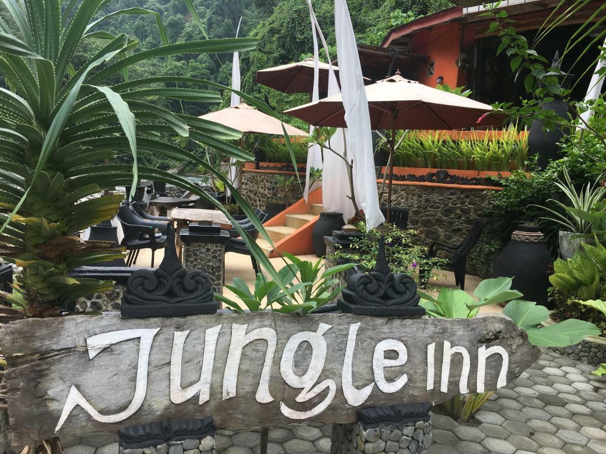 Jungle Bukit Lawang