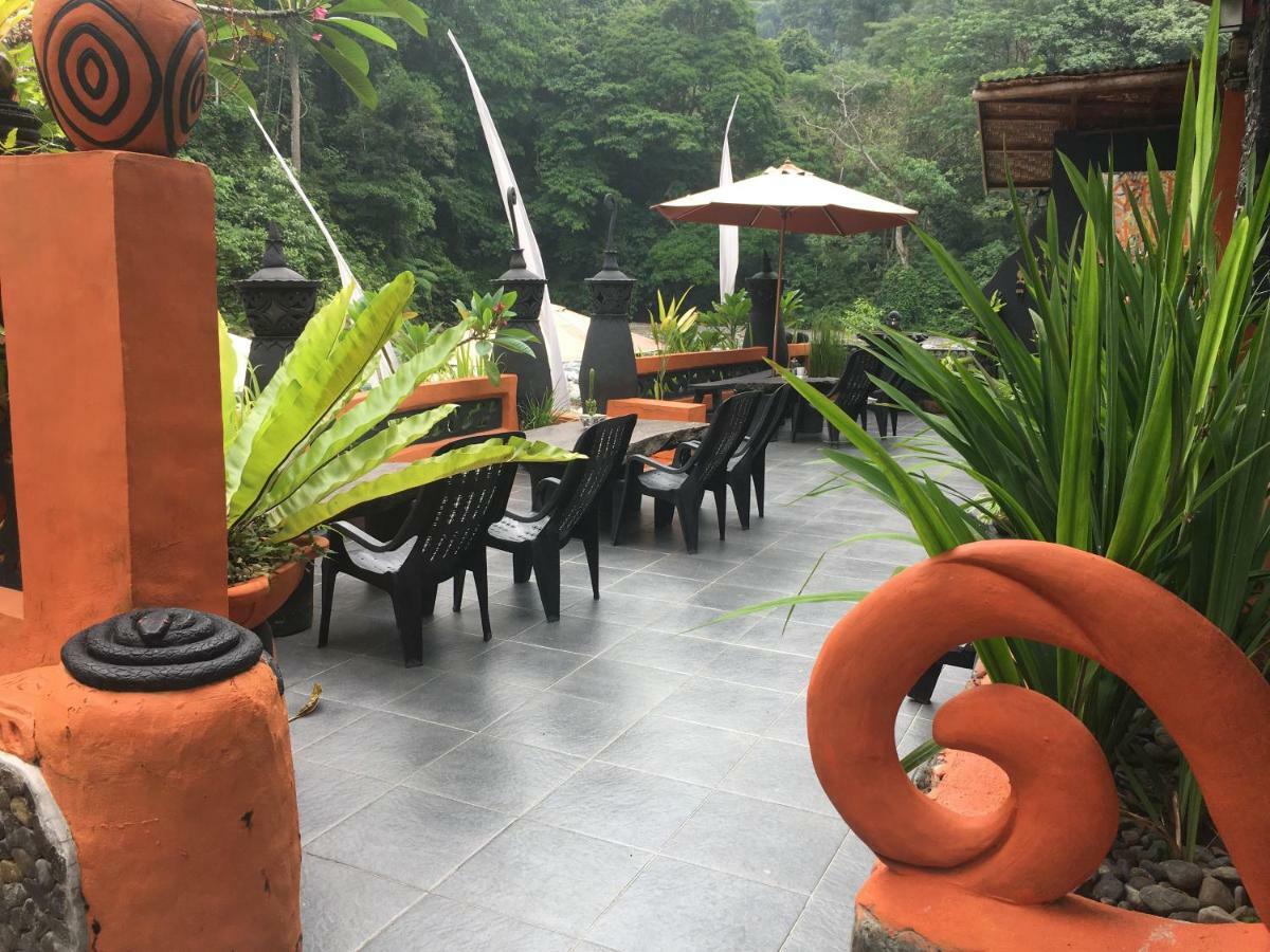 Jungle